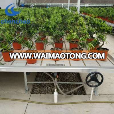 Low cost Commercial hydroponic greenhouse seedbed systems