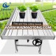 Greenhouse Garden Flowers Flood Plastic Trays/Ebb and Flow bench