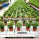 Agriculture Greenhouse flood movable rolling seedbed/table/trays (Top ABS material)