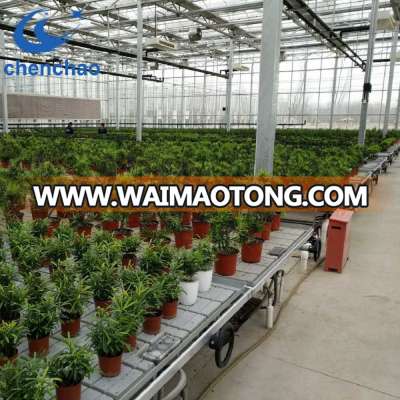 Cheap commercial greenhouse rolling Bench Systems for sale